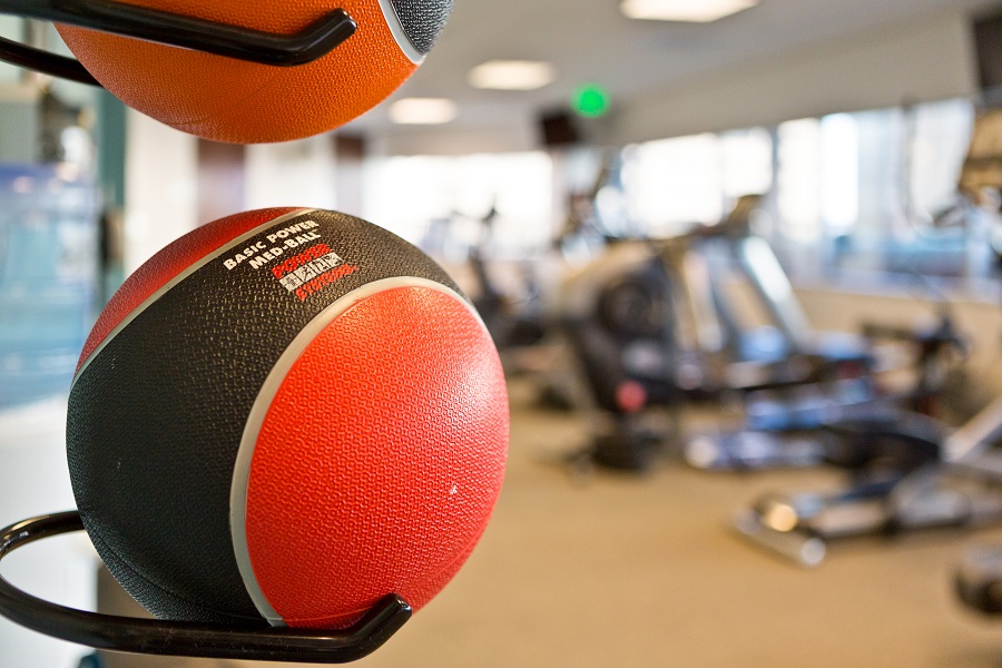 Exercise Room Weight Ball